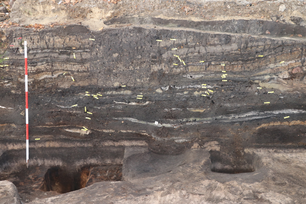 A solar storm dates Viking Age trade