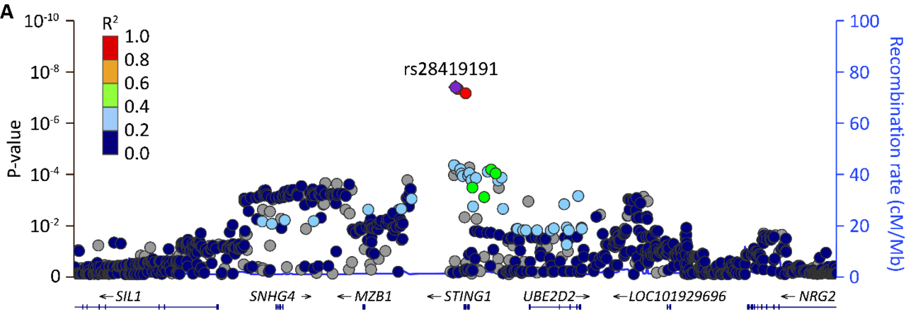 A Radiogenomics GWAS in Head-and Neck Cancer