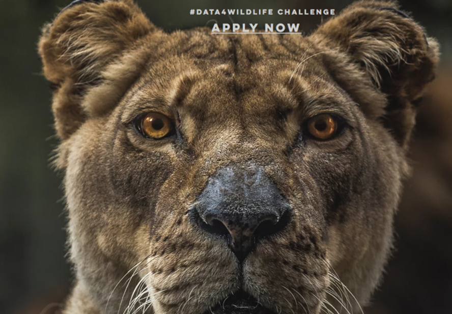 Upcoming Wildlife Hackathon Opportunity #data4wildlife challenge