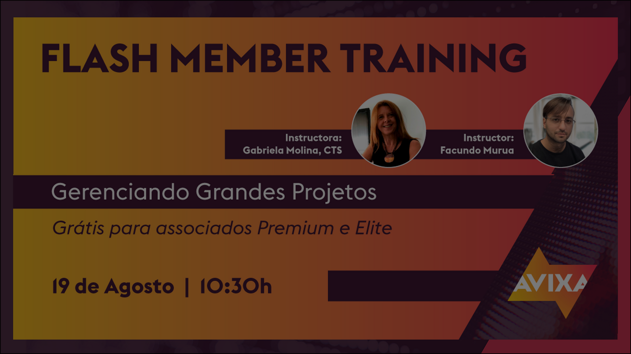FLASH MEMBER’S TRAINING: Gestão de Grandes Projetos