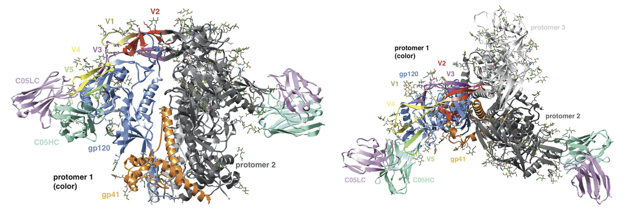 Empowering nucleic acid technology to generate highly conformational and functional vaccines against HIV in vivo