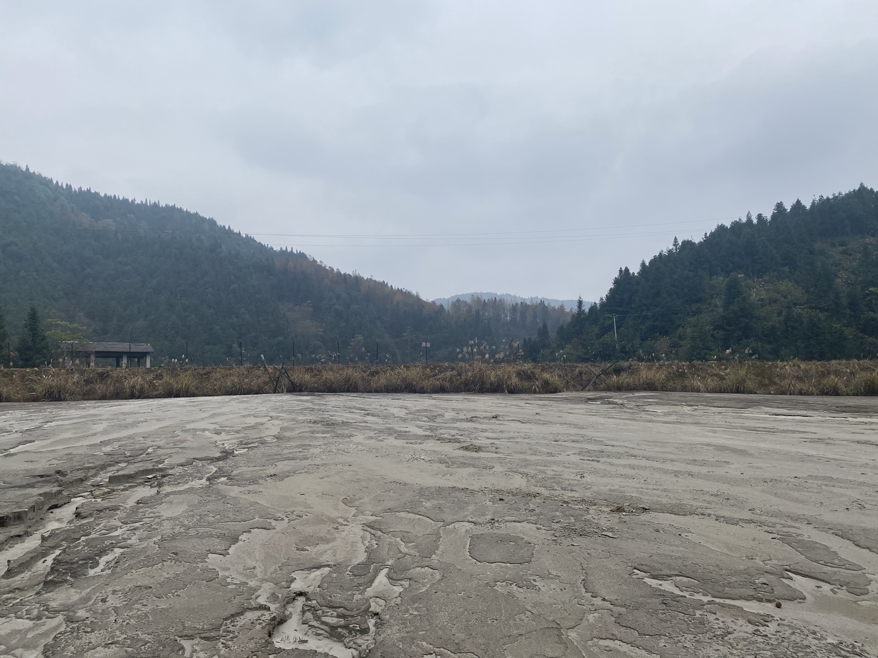 Coupling sulfur oxidation to antimonate reduction – a novel biogeochemical process mediated by Desulfurivibrio spp.