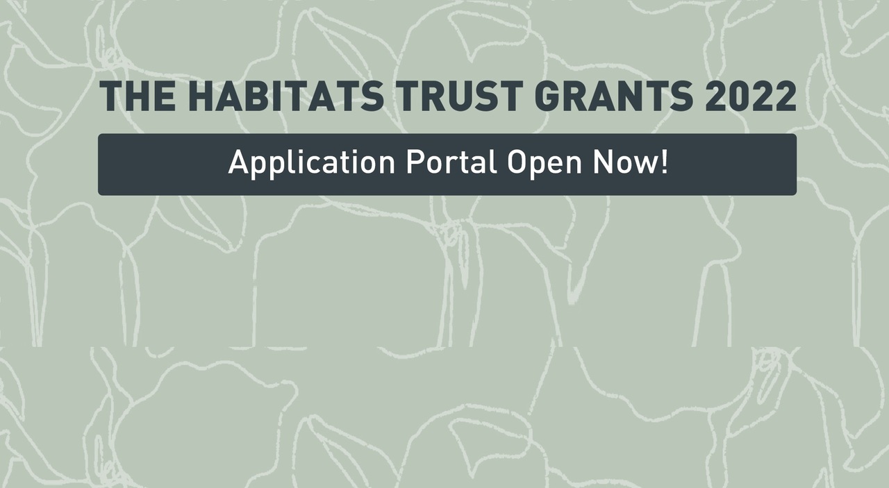 Grants for organisations/individuals (India)