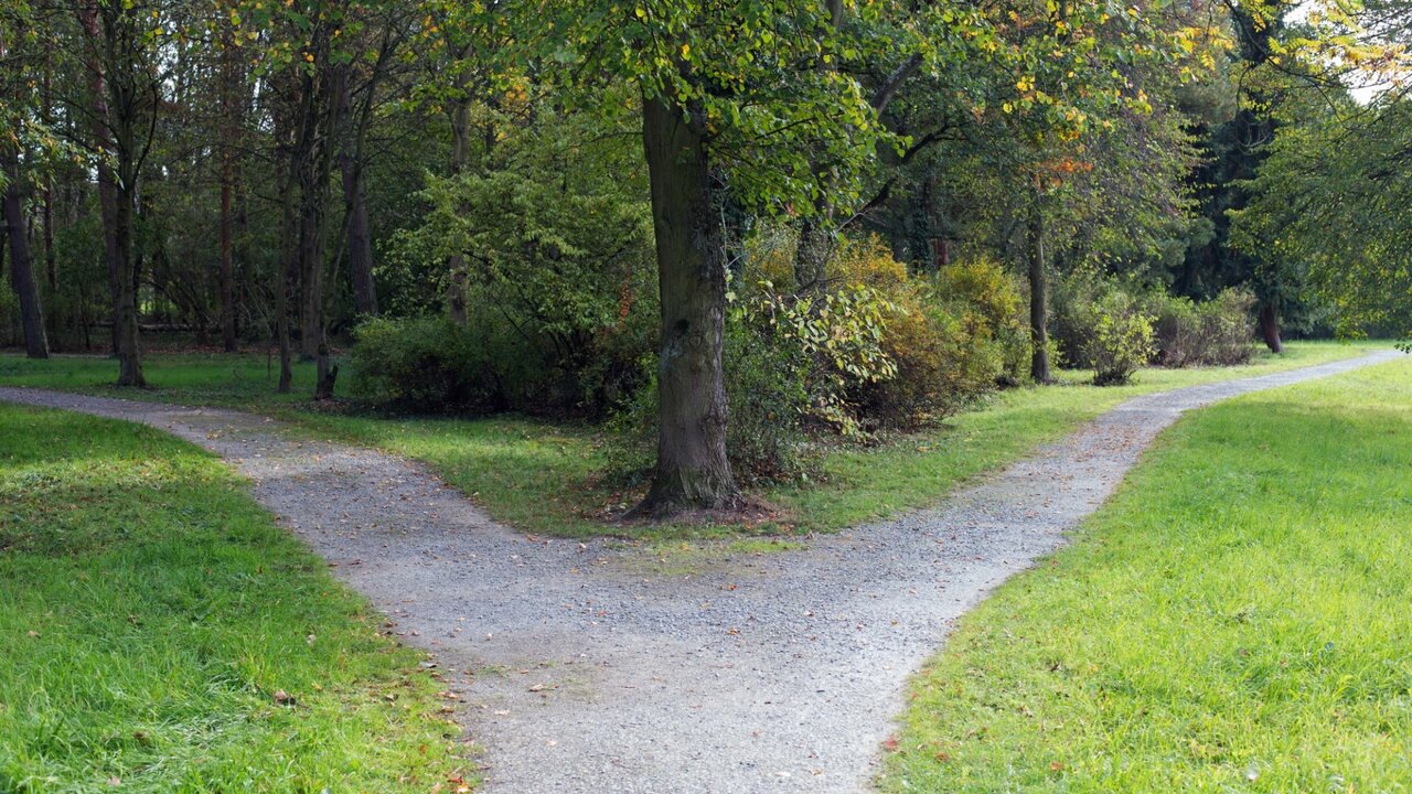 China at a Crossroads