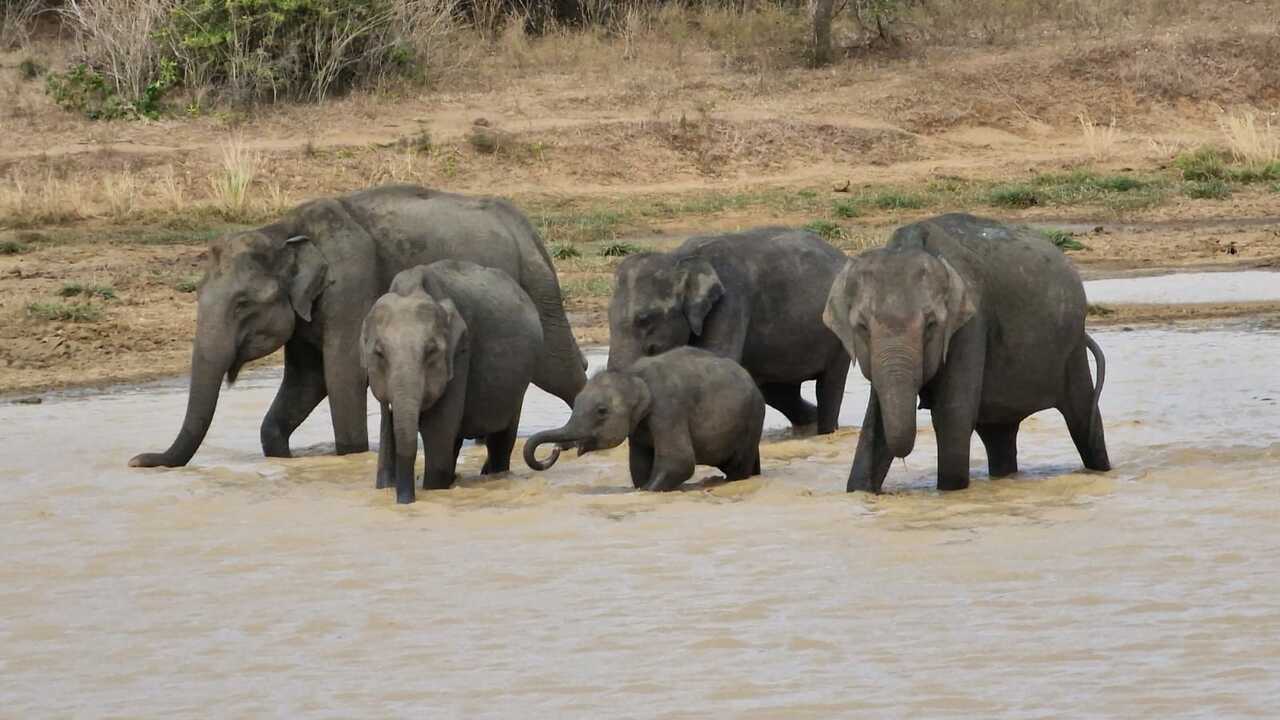 Leadership in Action in Sri Lanka, Summer 2023