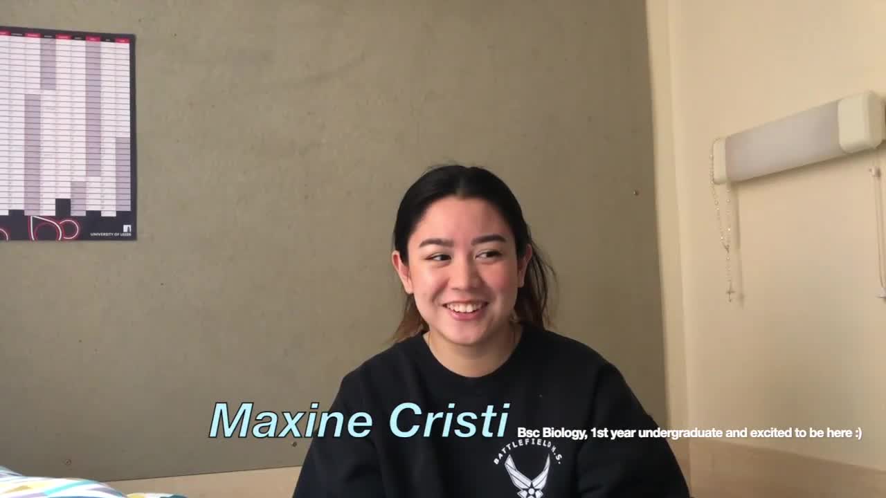 laidlaw value that best describes me