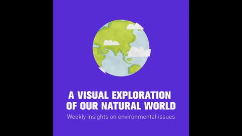 A visual exploration of our natural world
