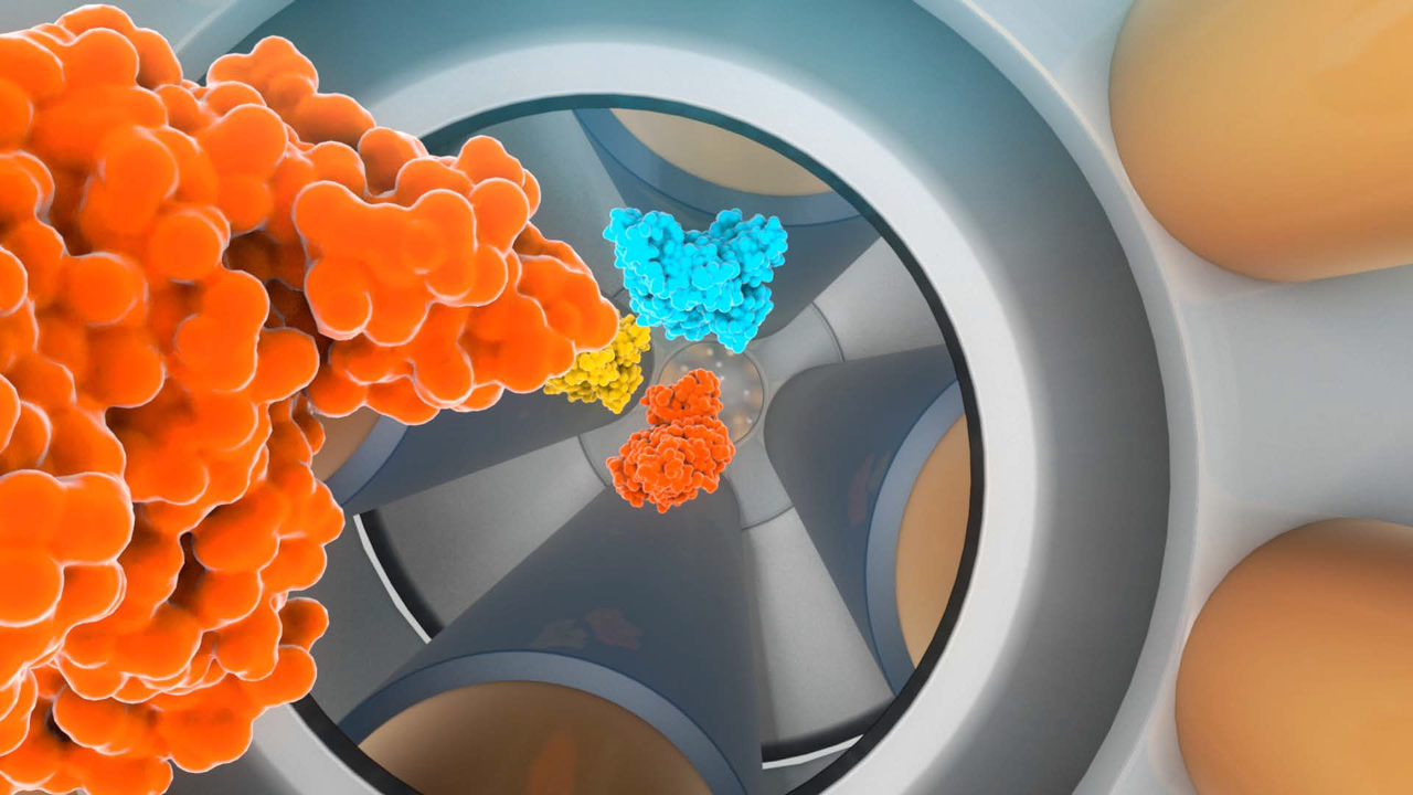 Albert J.R. Heck: “To pick your favourite paper is as difficult as picking your favourite child…” 