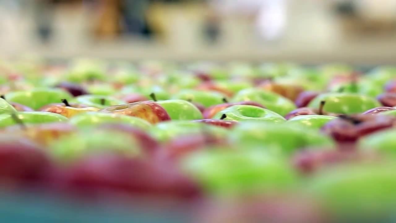 The 42nd FEBS Congress movie