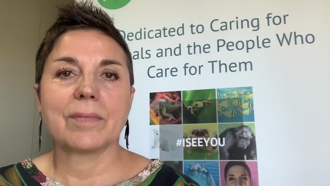 🌿 2025 Wild about Self-care workshop