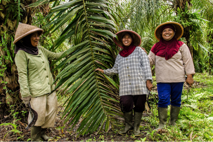 Free training on Ecosystem Restoration