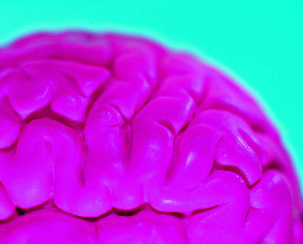 Podcast: Sneak-peek of the 2025 SfN annual meeting 