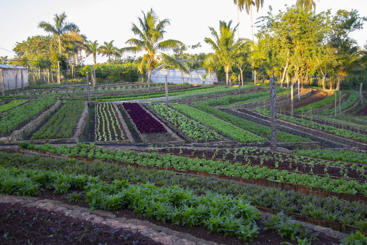 Blog Post 4 - Tying it all together! 