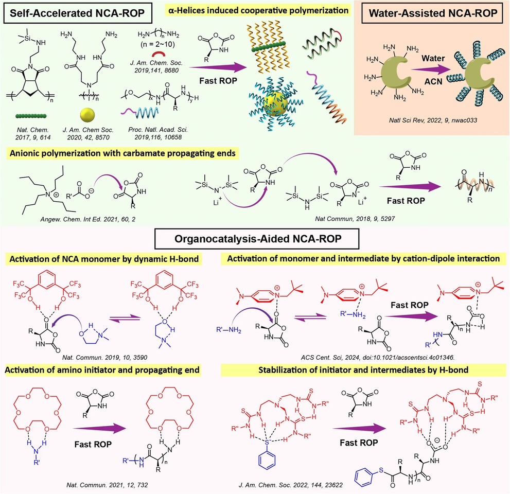 Catal Launches with Visionary Work on Accelerated Polypeptide Polymerization
