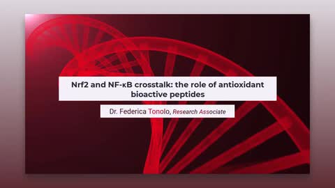 Nrf2 and NF-κB crosstalk: the role of antioxidant bioactive peptides