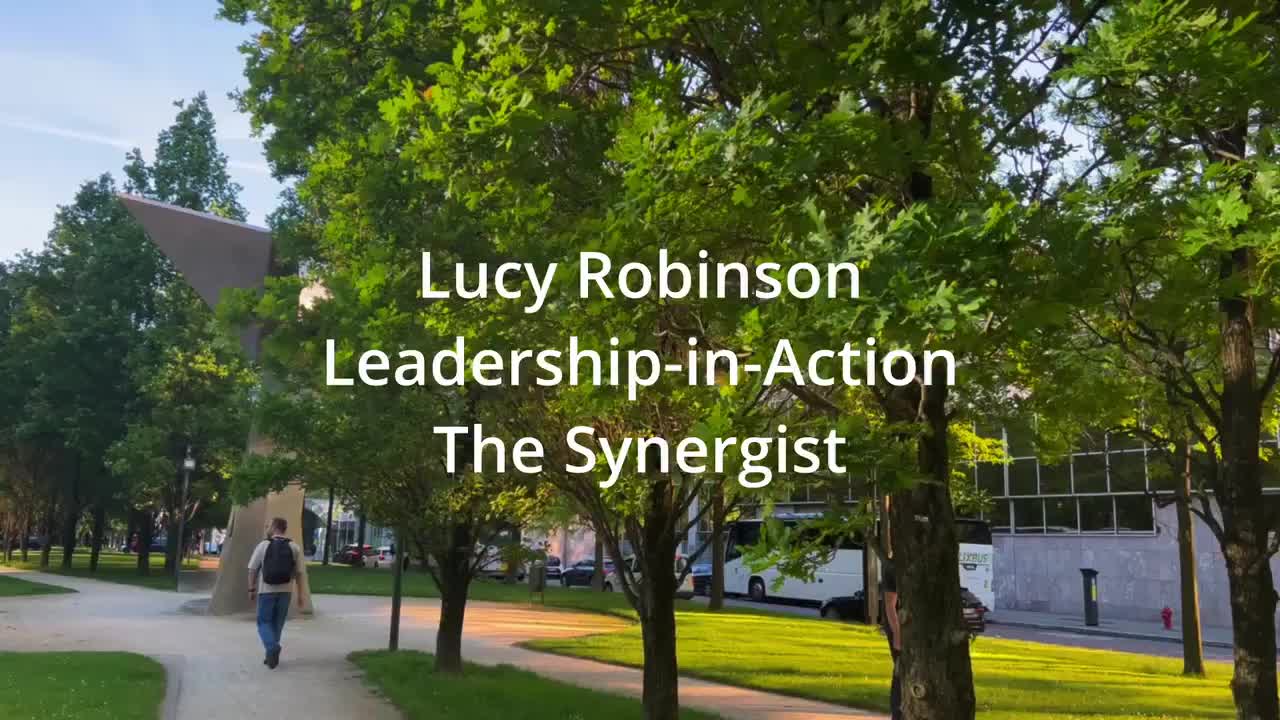 Leadership-in-Action Video - The Synergist