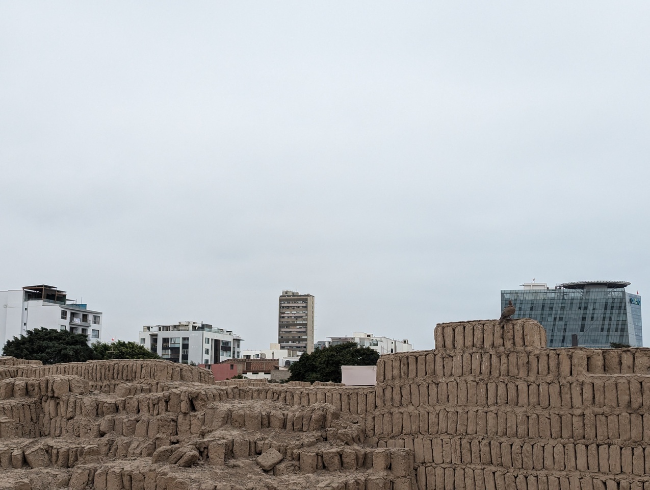 A Week of Focusing Talk: Re_Action for Impact Peru 2024 Week 2