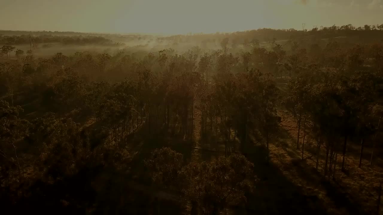 Connect and Protect — Apply for the 2026 PAT Scholarship Program