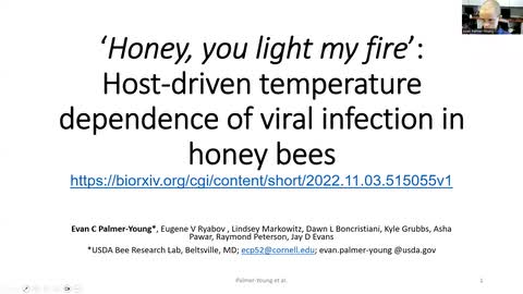 'Honey, you light my fire!' Host-driven temperature dependence of Deformed wing virus infection in honey bee pupae