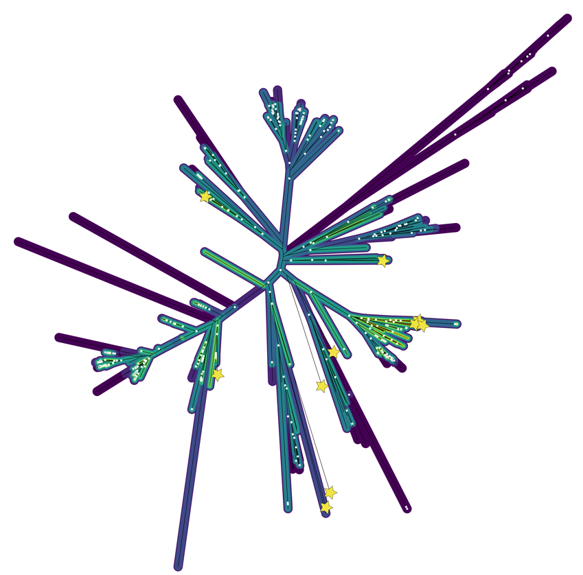 Interdisciplinarity: A project on bioinformatics and evolution done by a student graduating in International Relations