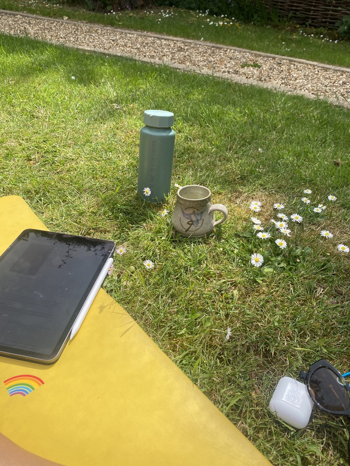 Reflections about the path toward peace education: from inner to outer peace.  Concepts beyond conceptual understanding?