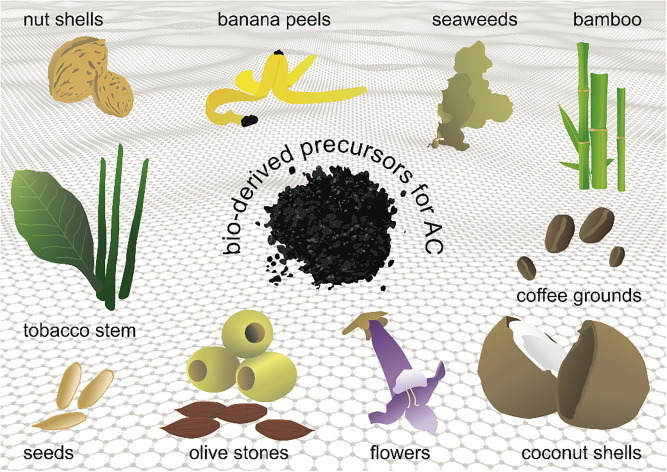 Development of Sustainable Electrochemical Supercapacitors using Food Waste