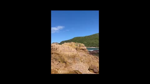 ‘Growing Green Minds’ – Lessons in Ethical Leadership and Global Citizenship from my LiA in Knysna, South Africa 