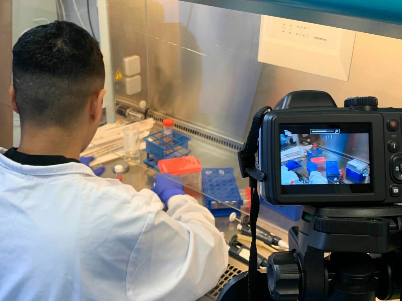 Videography, microglia, and animal rights