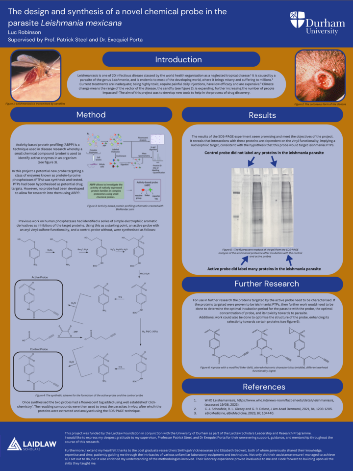 The design and synthesis of a novel chemical probe in the parasite Leishmania mexicana