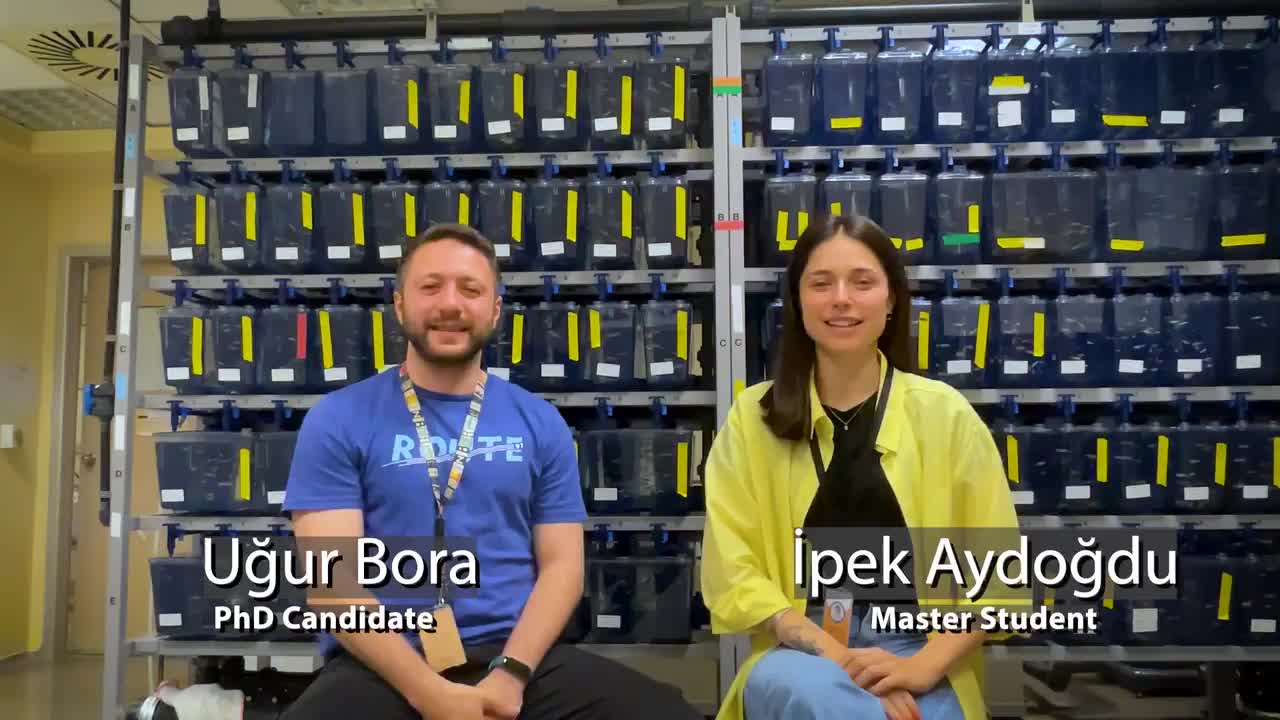 Regeneration and Cancer