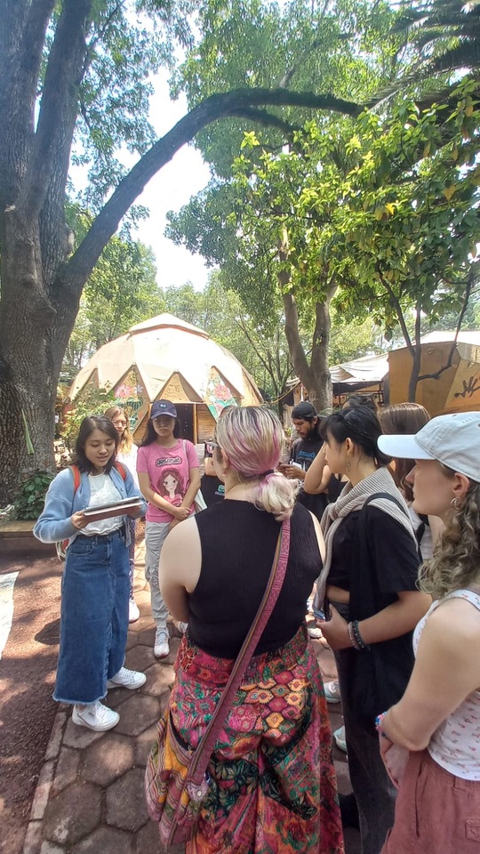 LiA project Week6 in Make Sense Mexico