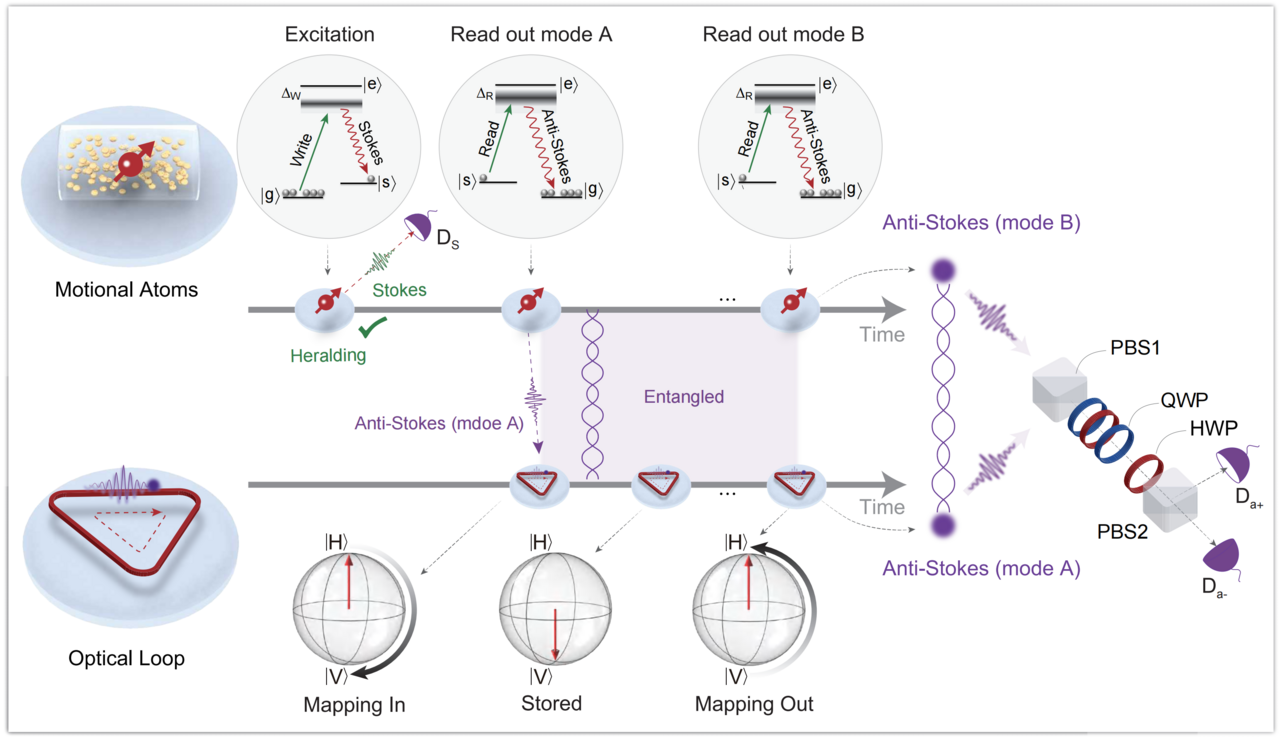 Entangling Motional Atoms and an Optical Loop at Ambient Condition