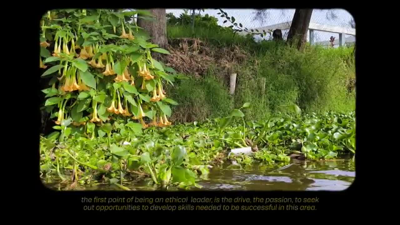 Seeds of Leadership: Quiet Acts, Enduring Change in CDMX