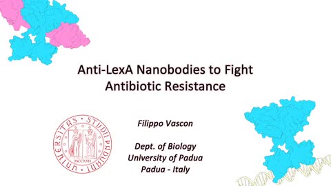 Anti-LexA Nanobodies to Fight Antibiotic Resistance