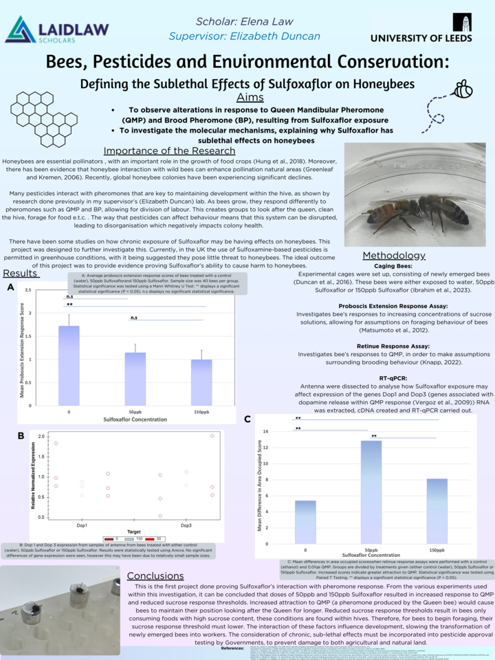 Bees, Pesticides & Our Environment 