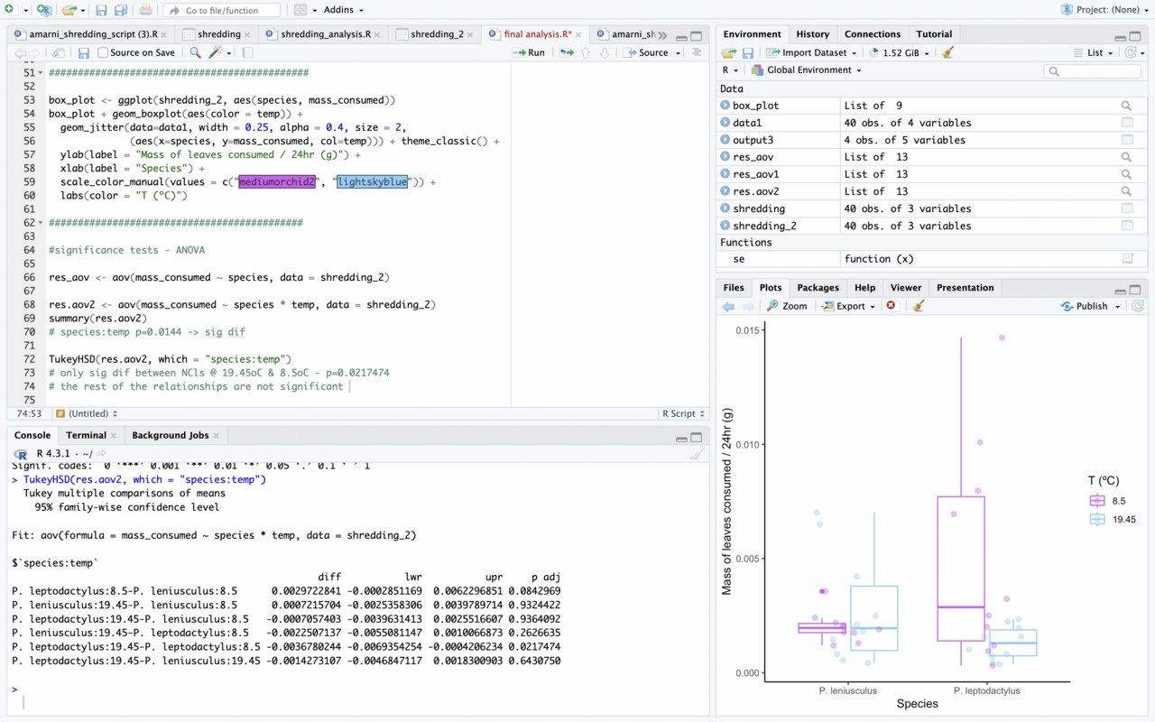 Mussel Memory Weeks Five & Six
