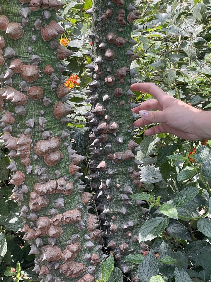 LiA MakeSense_Mexico_Week 2 Reflection