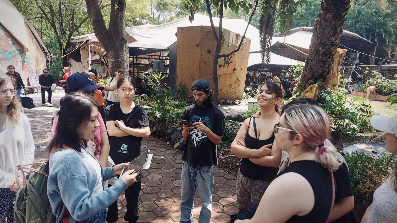 LiA MakeSense_Mexico_Week 5 Reflection