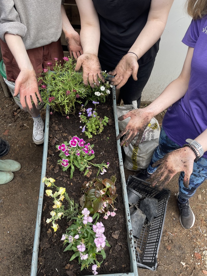 LiA MakeSense_Mexico_Week 3 Reflection