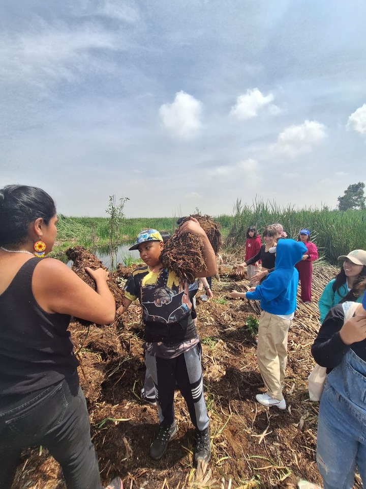 LiA MakeSense_Mexico_Week 4 Reflection