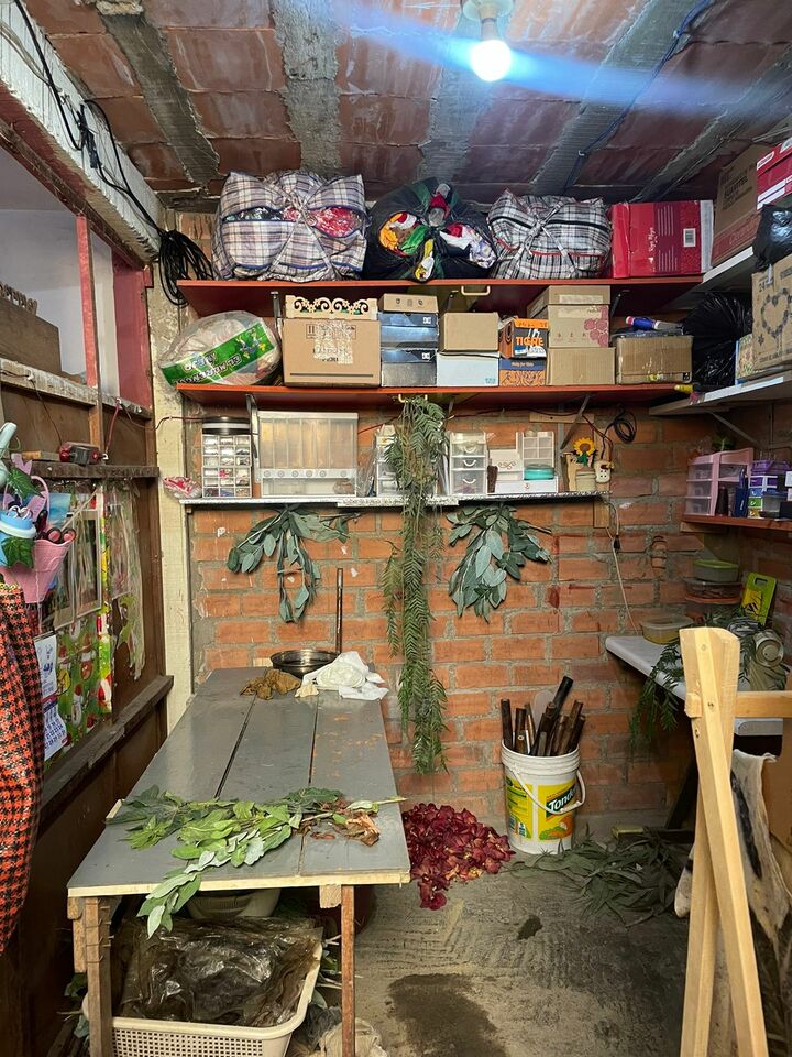 LiA Third Week: A Day in the Life of Diana