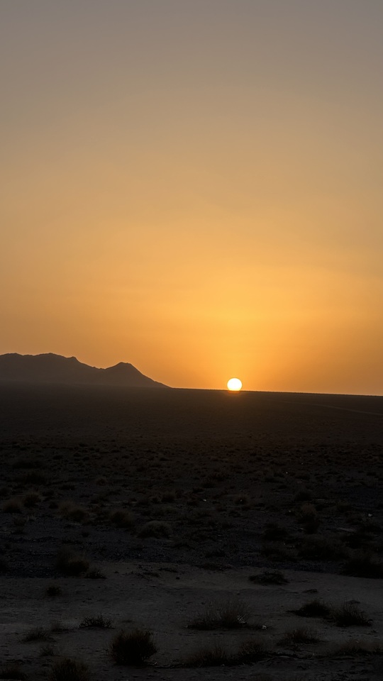 A Reminder from Iran: When Conservation Becomes Too Dependent on Digital Connectivity