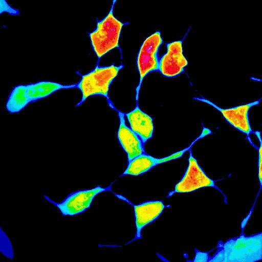 Targeting redox homeostasis to overcome therapy resistance in cancer