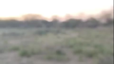 2026-06-30 at 8.42.05 PM