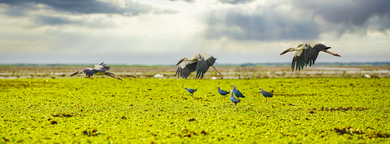 February Highlights from Mathematics, Physical and Applied Sciences Communities 