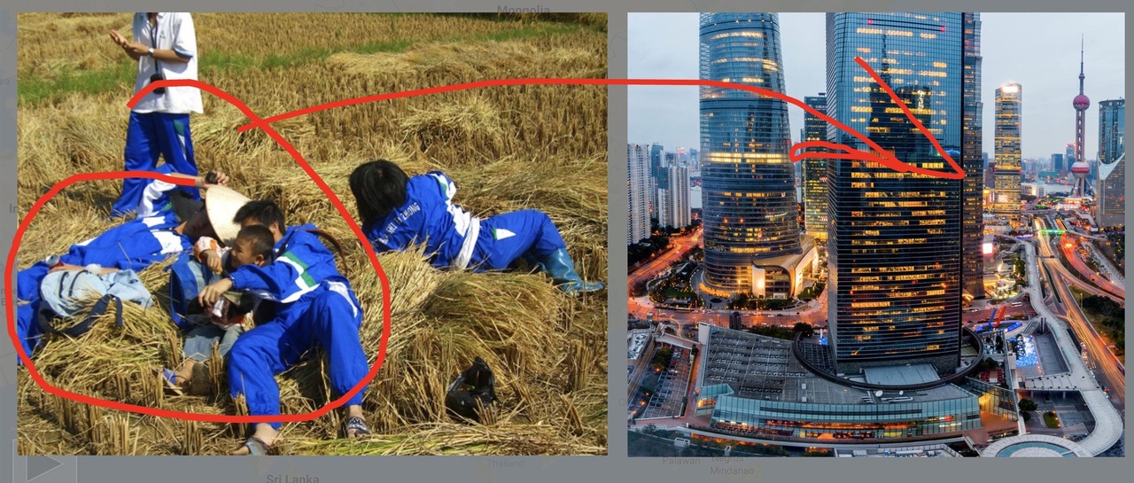 Is Rice Farming Still Shaping The Way People Think?