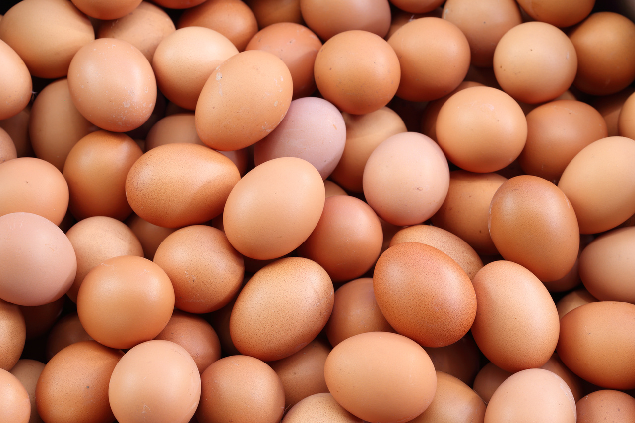 Survey finds some chefs unaware of FSA advice on imported eggs