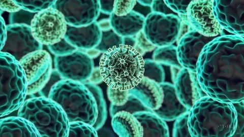 Lurking Beneath the Calm: The Sinister Evolution of a Harmless Virus and TTMV Leukemia
