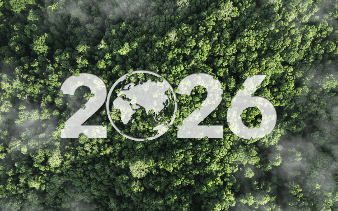 International Day of Forests 2026 : Highlights from BMC Series