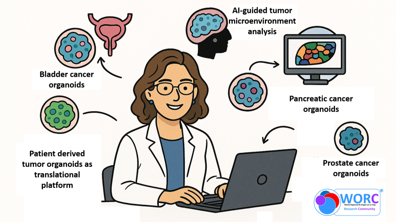 Watch now all talks from World Cancer Research in 3D!